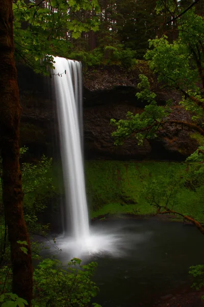俄勒冈州银瀑布州立公园的南瀑布 — 图库照片