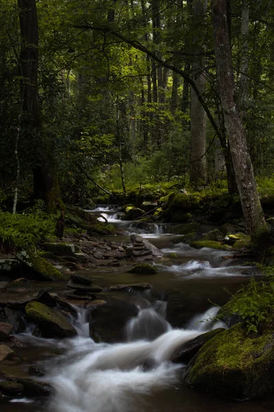 Arroyo Cascadas Ensenada Cades Ahumado Parque Nacional Montaña Tennessee — Foto de Stock