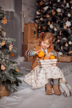 İskandinav kıyafetleri içinde küçük mutlu bir sarışın kız, mandalina topluyor, Noel ve yeni yıla hazırlanıyor..