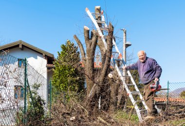 Elektrikli testere ile gülümseyen adam