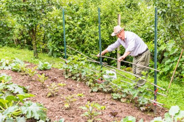 Komuta sizde bahçede çalışan