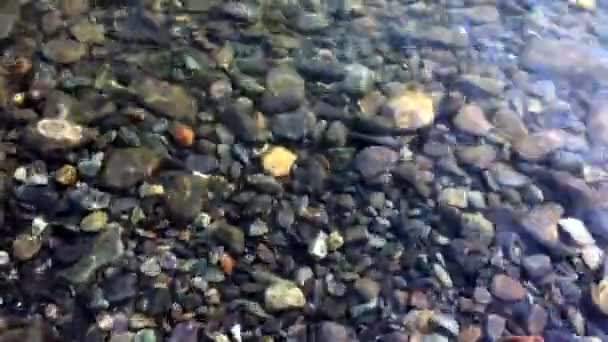 Piedras bajo corriente de agua — Vídeo de stock