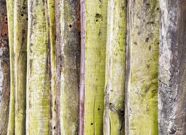 Cerca de madera vieja — Foto de Stock