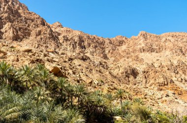 Vadi Tiwi vahasının manzarası. Umman Sultanlığı 'nda dağlar ve palmiye ağaçları..