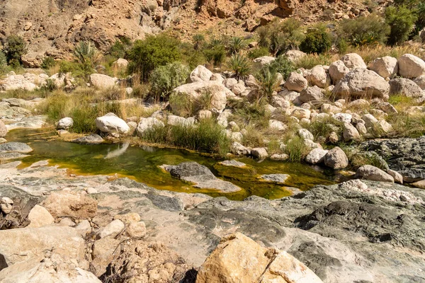 Krajobraz Oazy Wadi Tiwi Źródłami Wodnymi Kamieniami Palmami Sułtanat Omanu — Zdjęcie stockowe