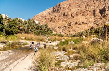 Wadi Tiwi, Umman - 15 Şubat 2020: Vadi Tiwi vahasını su kaynakları, kayalar ve palmiye ağaçları ile ziyaret eden turistler, Umman Sultanı