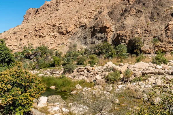 Landscape Wadi Tiwi Oasis Water Springs Rocks Stone Palm Trees Royalty Free Stock Images