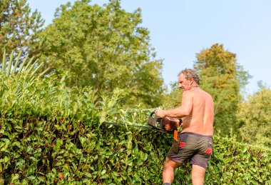 Profesyonel bahçıvan çiti benzin çim biçme makinesiyle kesiyor, sonbahar bahçesi bakımı.