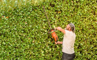 Profesyonel bahçıvan çiti elektrikli çit biçme makinesiyle keser, sonbahar bahçesi bakımı.