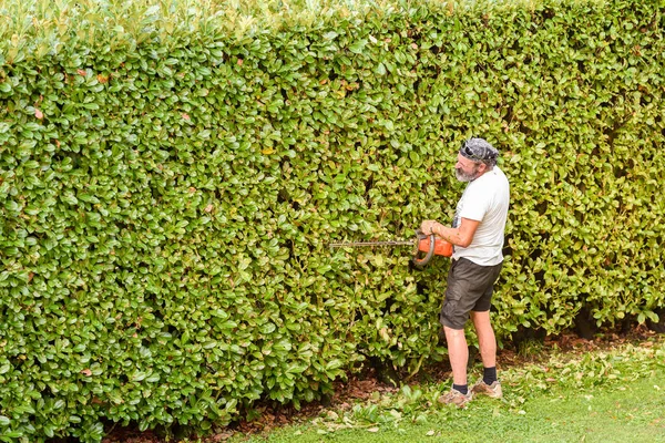 Professional Gardener Corta Sebe Com Cortador Sebes Elétrico Manutenção Jardim — Fotografia de Stock