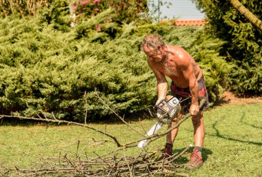 Profesyonel bahçıvan testereyle meyve ağacını keser, sonbahar bahçesi bakımı.