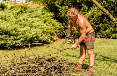 Profesyonel bahçıvan testereyle meyve ağacını keser, sonbahar bahçesi bakımı.