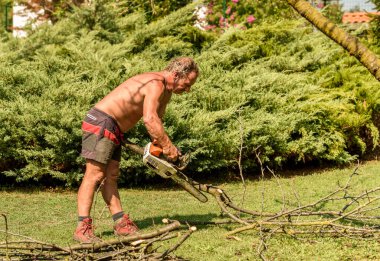 Profesyonel bahçıvan testereyle meyve ağacını keser, sonbahar bahçesi bakımı.