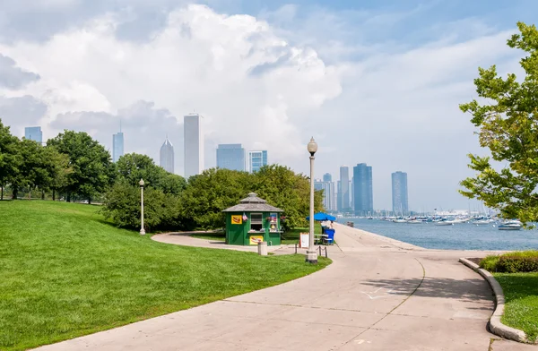 Park des Michigansees mit Chicagoer Skyline im Hintergrund — Stockfoto