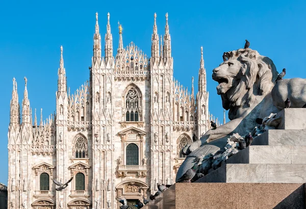 Facciata Duomo di Milano — Foto Stock