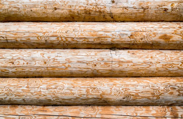 Abstraktní dřevěné pozadí — Stock fotografie