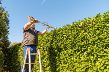 Olgun bir adam bahçede elektrikli çit budayarak çiti buduyor..