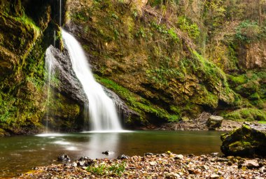 vahşi doğada şelale