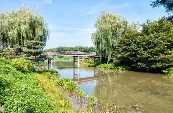 Jardín Botánico de Chicago, puente a la zona del Jardín Japonés, EE.UU. — Foto de Stock