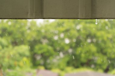 Arka planda ağaçlarla çatıdan yağan yağmur