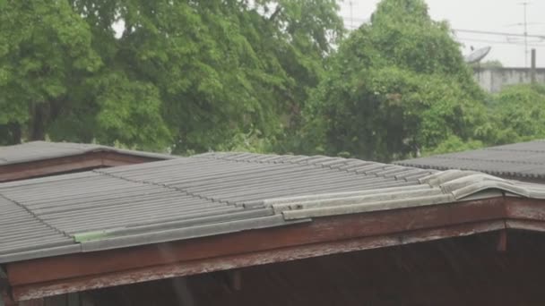 泰国曼谷房屋屋顶和树木上的雨 — 图库视频影像
