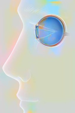 Bir erkek figüründe göz anatomisi, insan anatomisinin tıbbi çizimi.