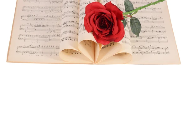 La rosa en cuadernos con notas — Foto de Stock
