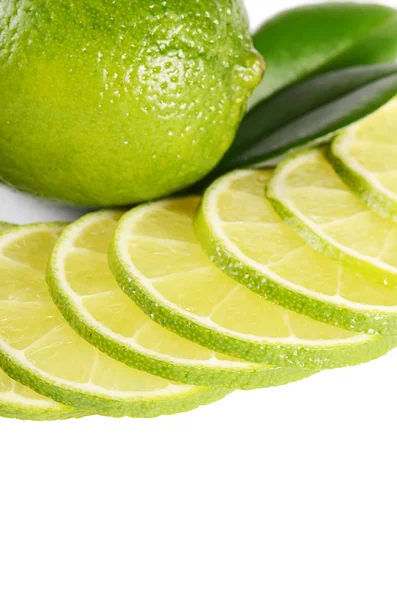 Die frische Limette isoliert auf weißem Hintergrund — Stockfoto