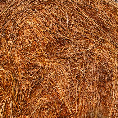 Samanlıkta gökyüzüne karşı. Haymaking zaman.