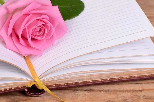 La rosa sul libro — Foto Stock