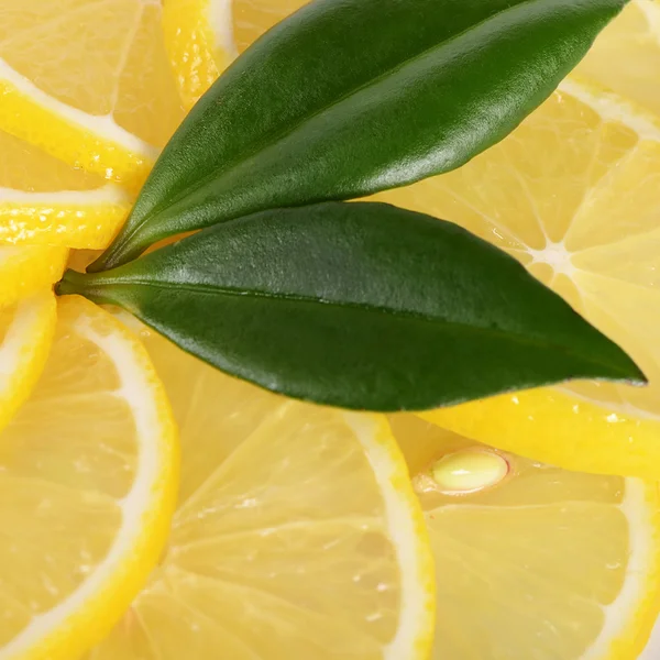 The fresh lemon a background closeup — Stock Photo, Image