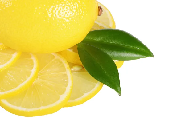 The fresh lemon  isolated on a white background — Stock Photo, Image