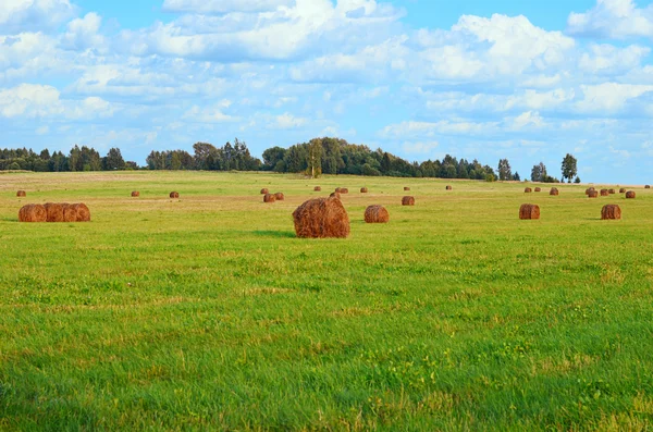 Haystack contre le ciel. Temps de Haymaking . — Photo