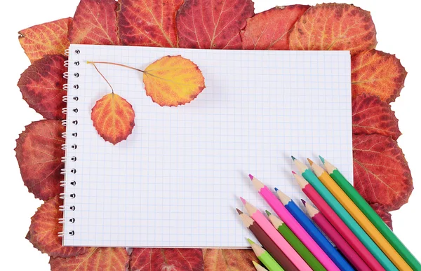 Lápices de colores con un cuaderno y hojas de otoño —  Fotos de Stock