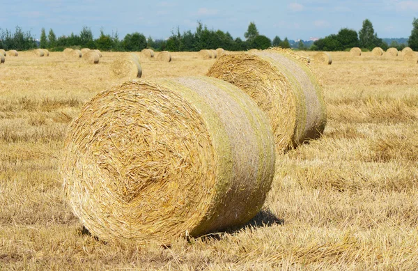 Höstacken mot himlen. — Stockfoto