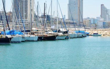 İsrail Marina'da yatlar