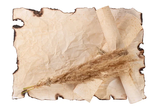 Старая бумага с обожженными краями — стоковое фото