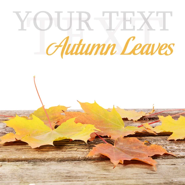 Podzimní listí na dřevěnou podlahu — Stock fotografie