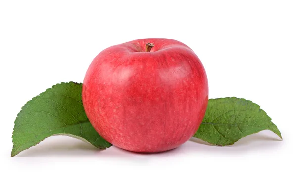 Red fresh apples isolated on white background — Stock Photo, Image