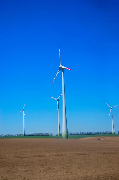 Le moulin à vent en Hollande sur fond de ciel — Photo