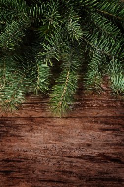 Noel ağacı ahşap arka plan üzerinde