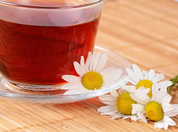 Teh herbal dalam cangkir dengan chamomile — Stok Foto