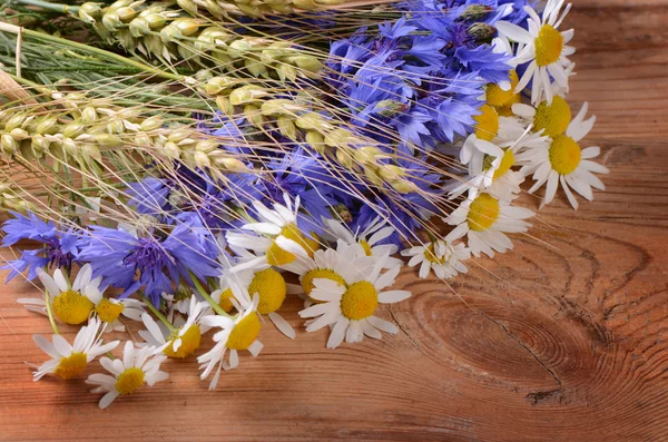 De prachtige Korenbloem op houten achtergrond — Stockfoto