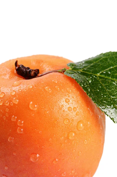 Abricot frais avec une feuille — Photo
