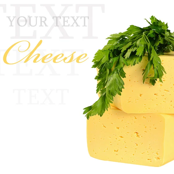Sýr izolovaných na bílém pozadí — Stock fotografie
