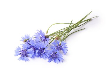 beyaz izole güzel peygamberçiçeği