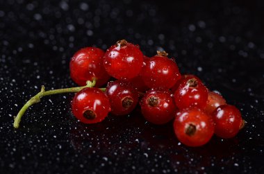 Frenk üzümü yakın çekim