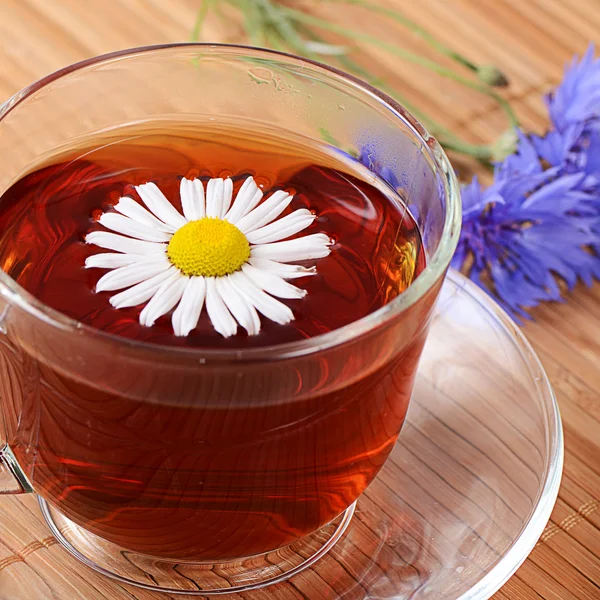 Tés de hierbas en taza con manzanilla — Foto de Stock