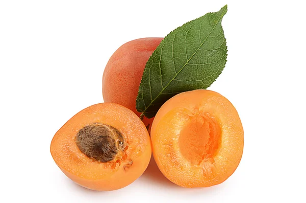 Fresh apricot with a leaf — Stock Photo, Image