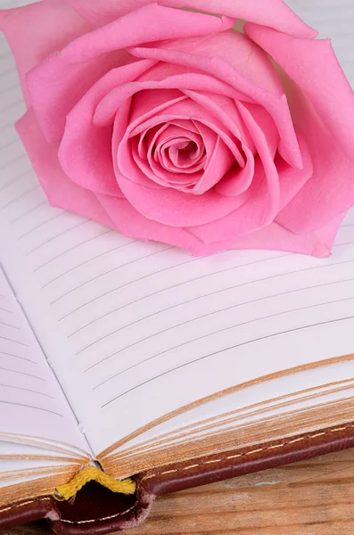 Die Rose auf dem Buch — Stockfoto